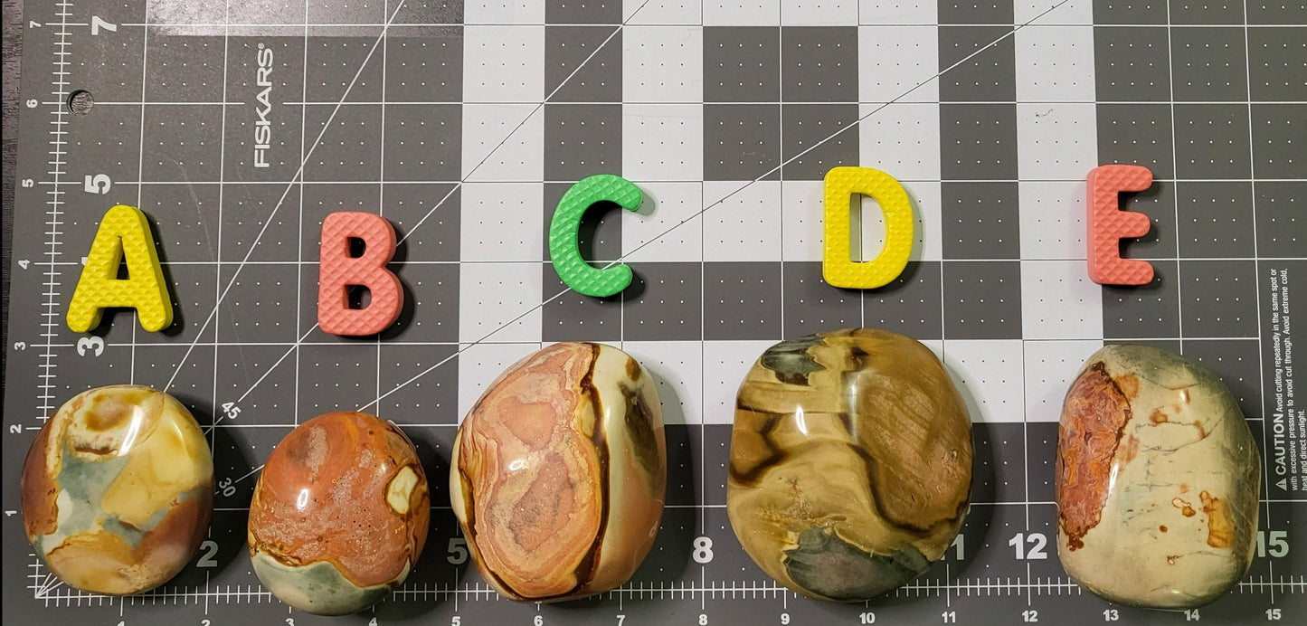 PolyChrome Ocean Jasper Palm Stones