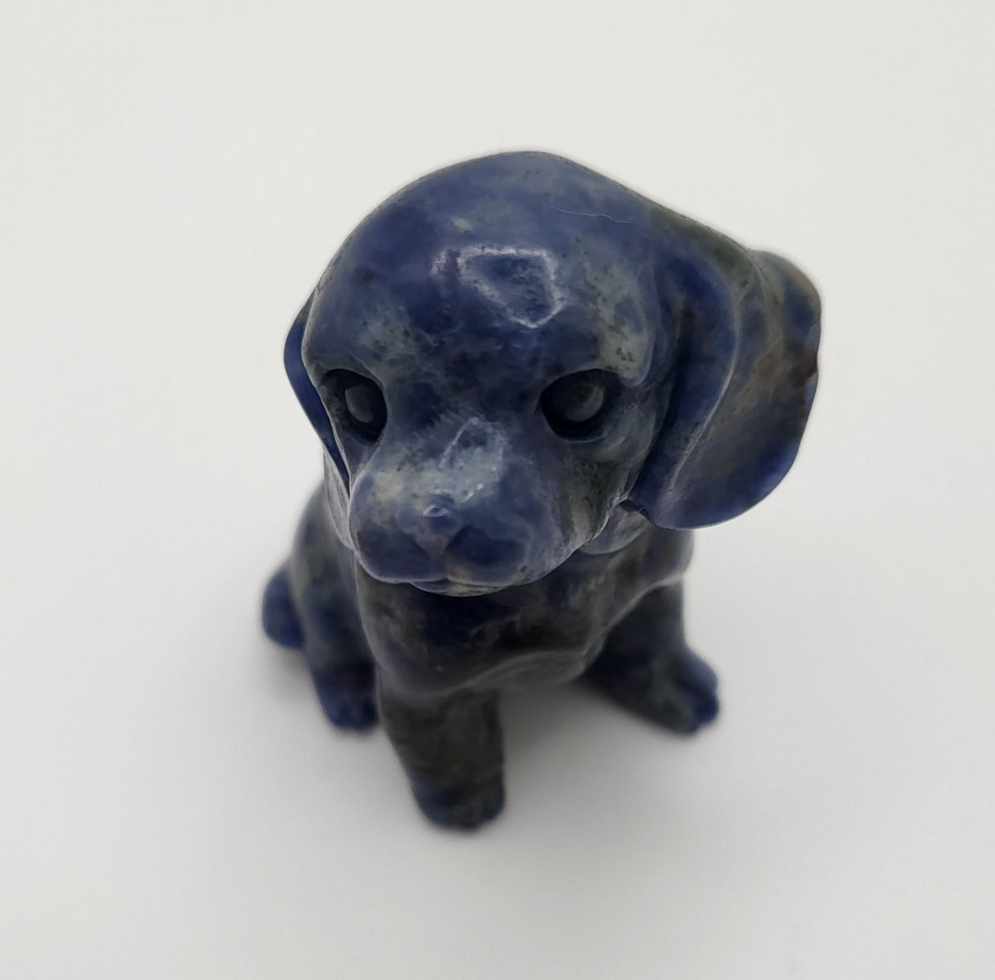 Dogs - Variety Of Colors