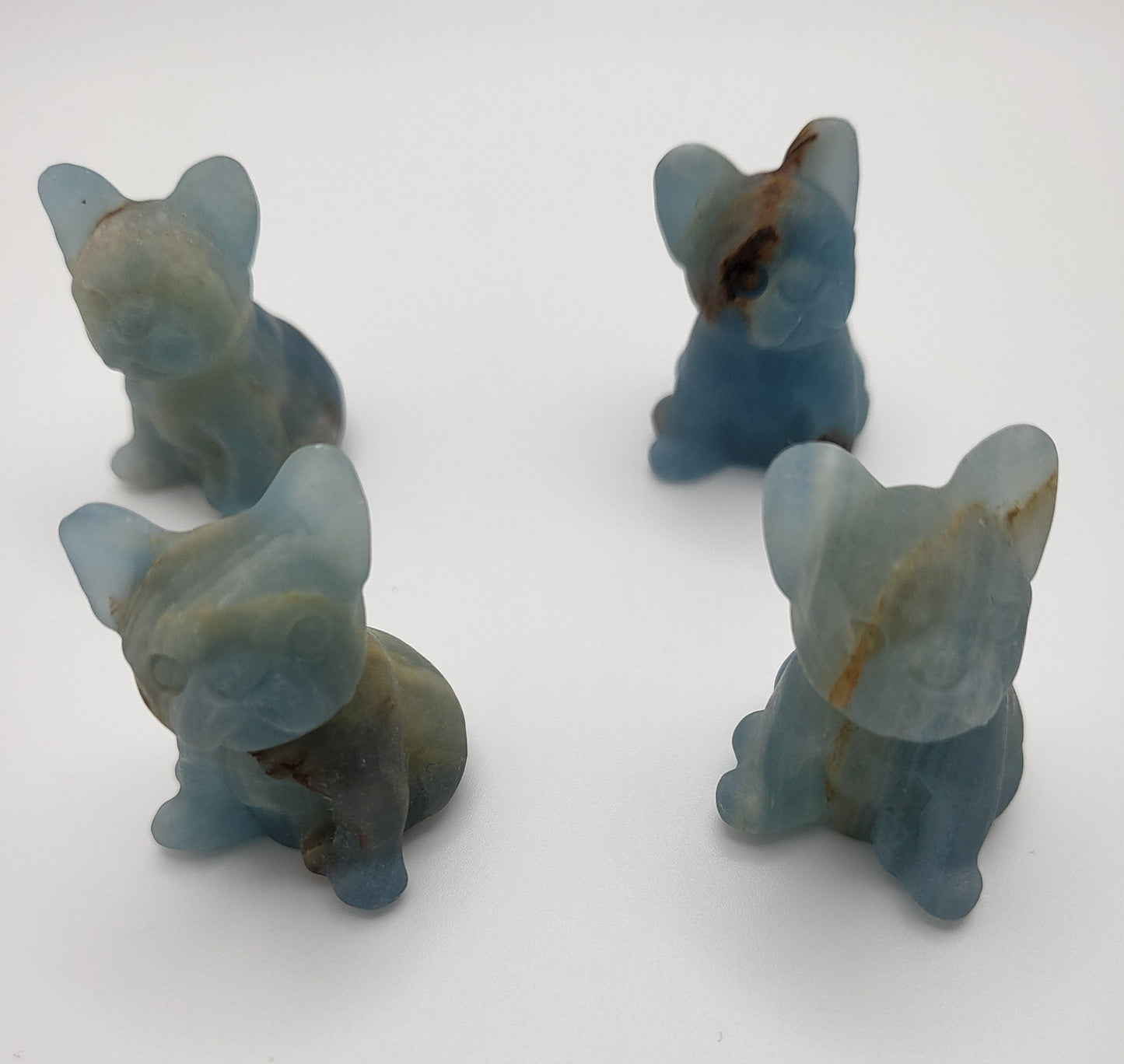 Dogs - Variety Of Colors