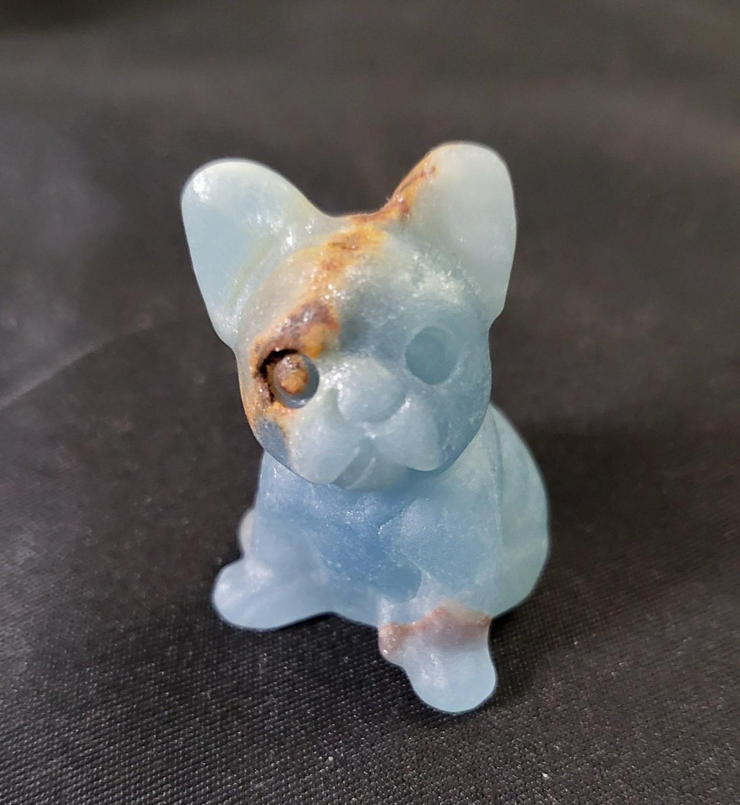 Dogs - Variety Of Colors