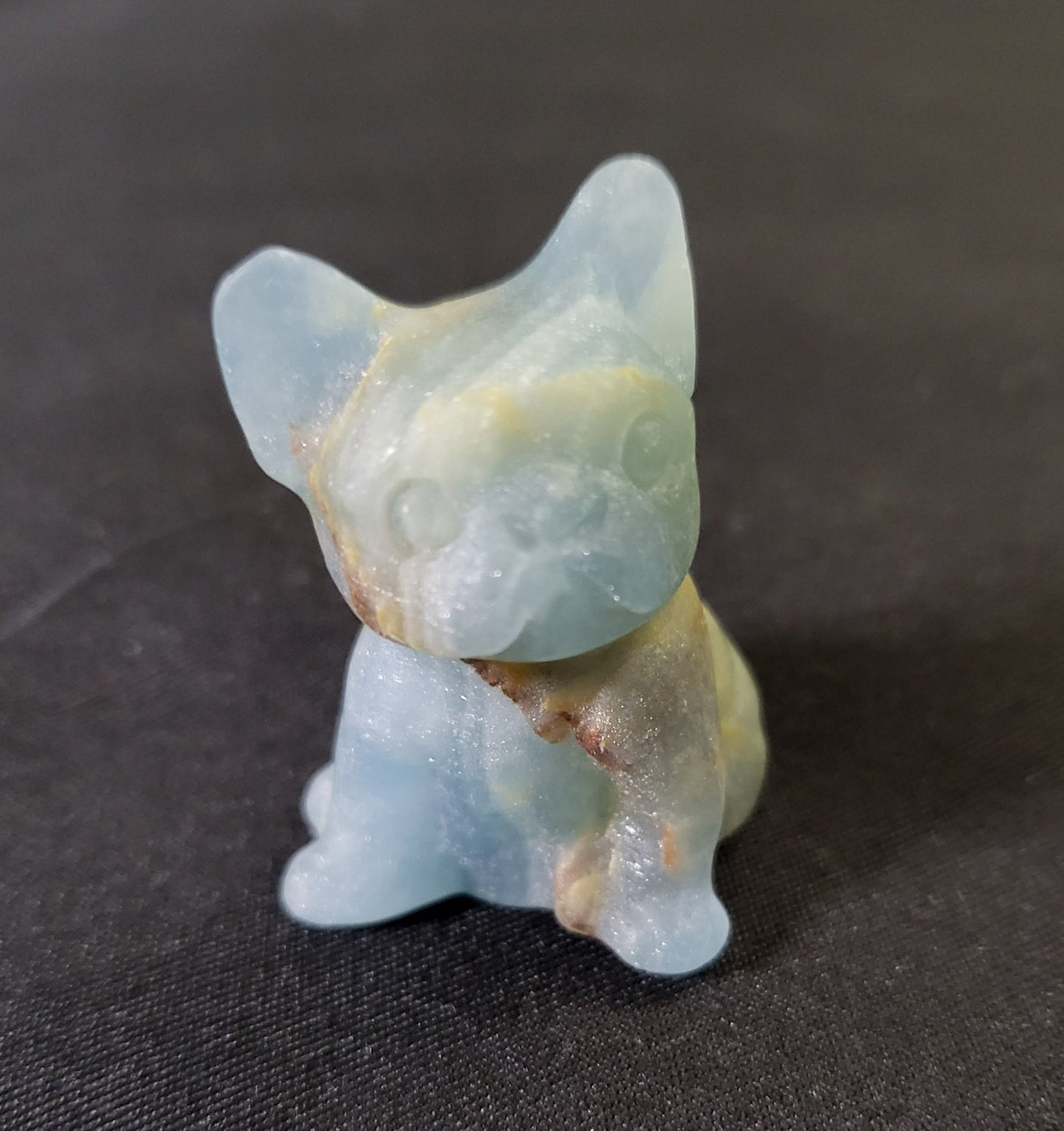 Dogs - Variety Of Colors