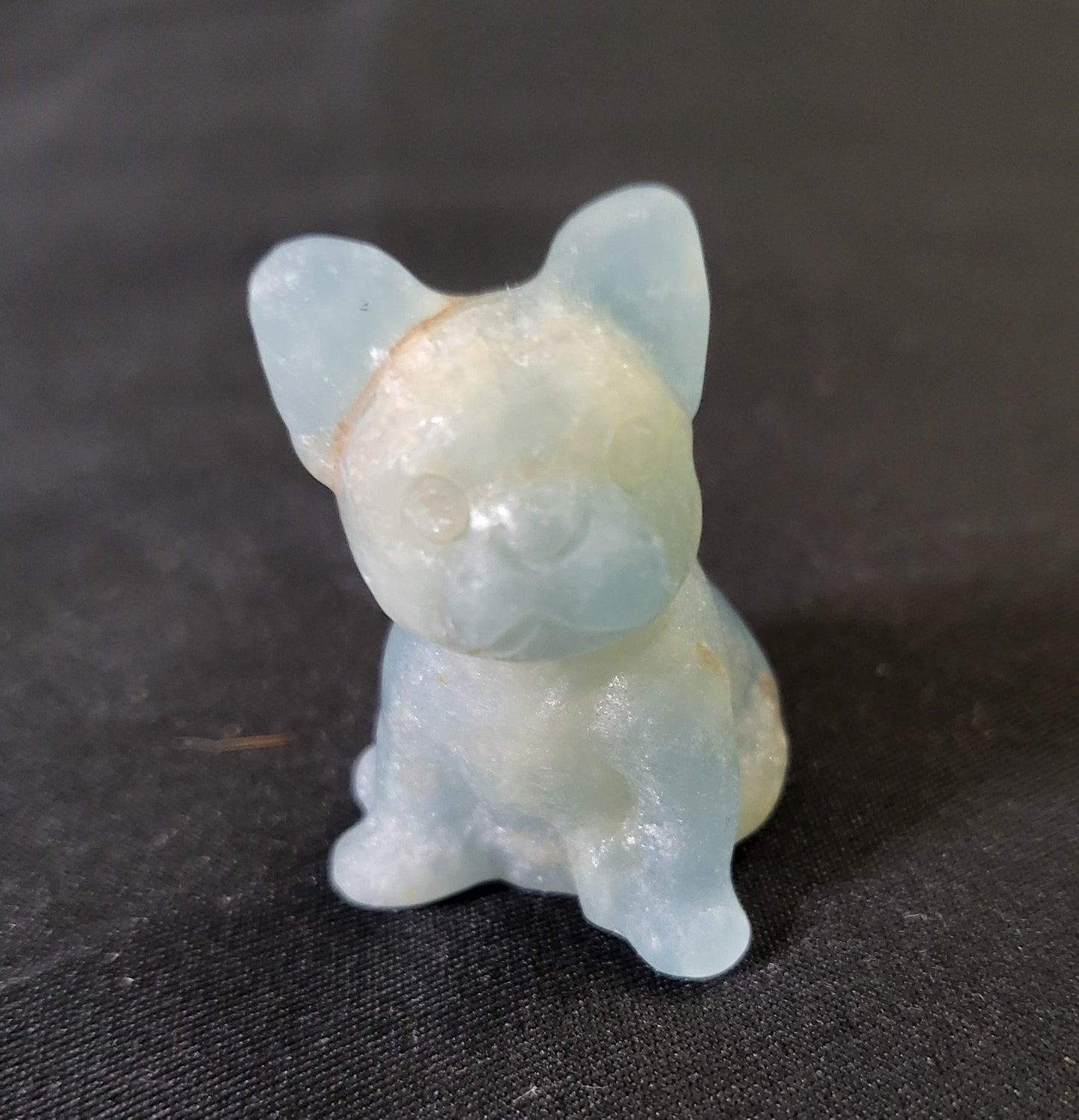 Dogs - Variety Of Colors