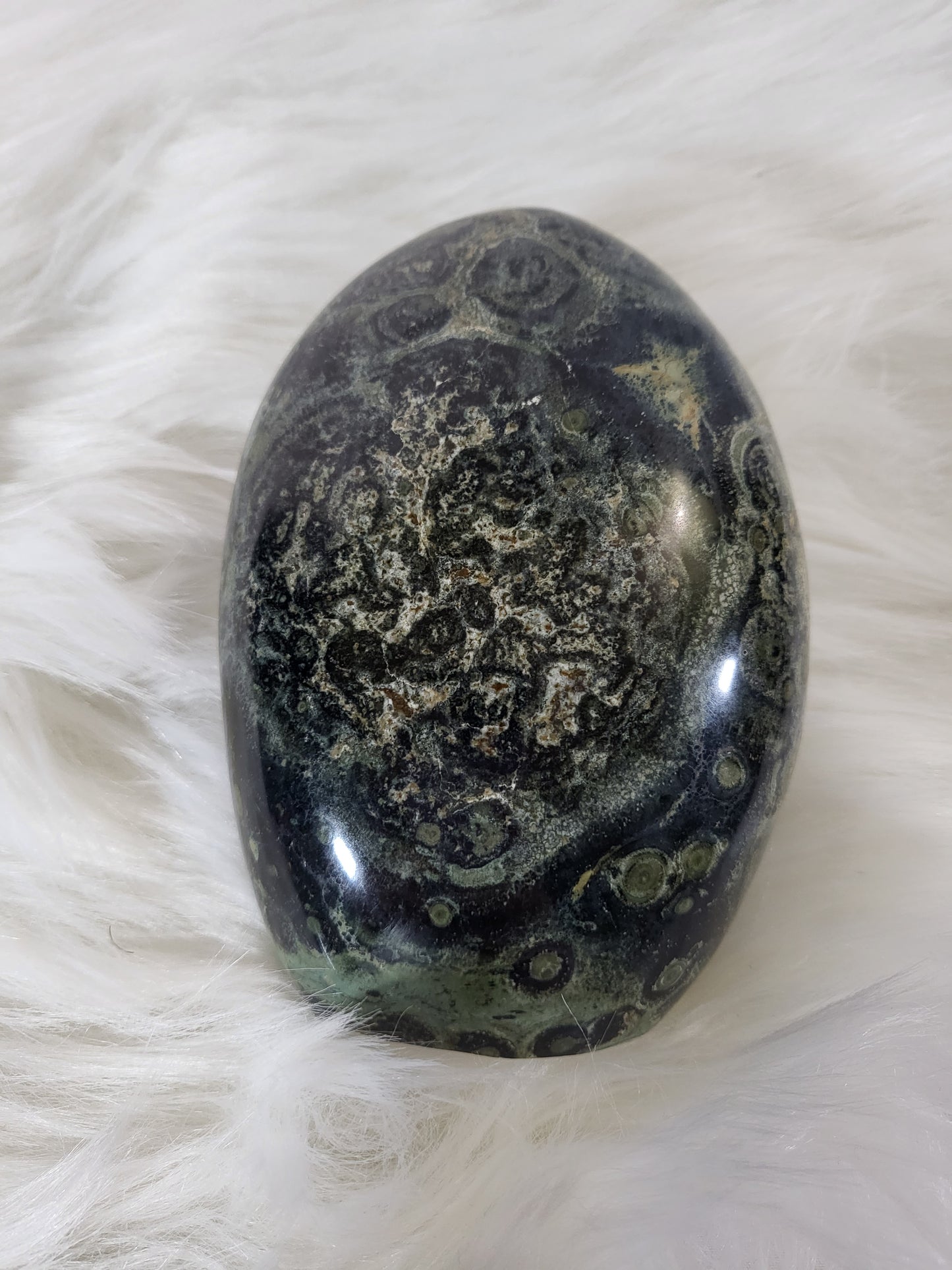 Kambaba Jasper Free Form