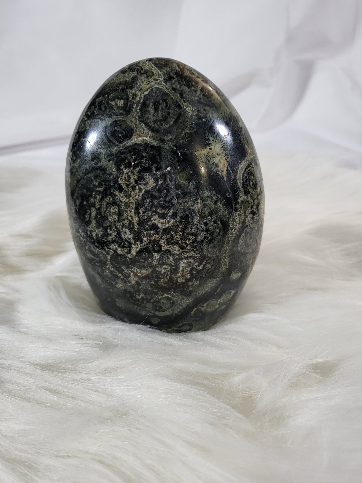 Kambaba Jasper Free Form