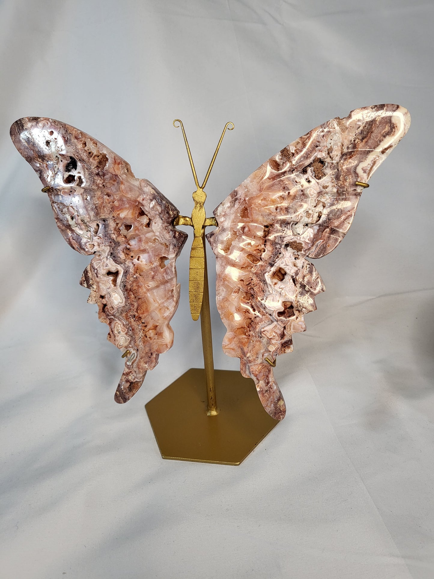 Indonesian Pink Lace Butterfly Wings - Exclusive