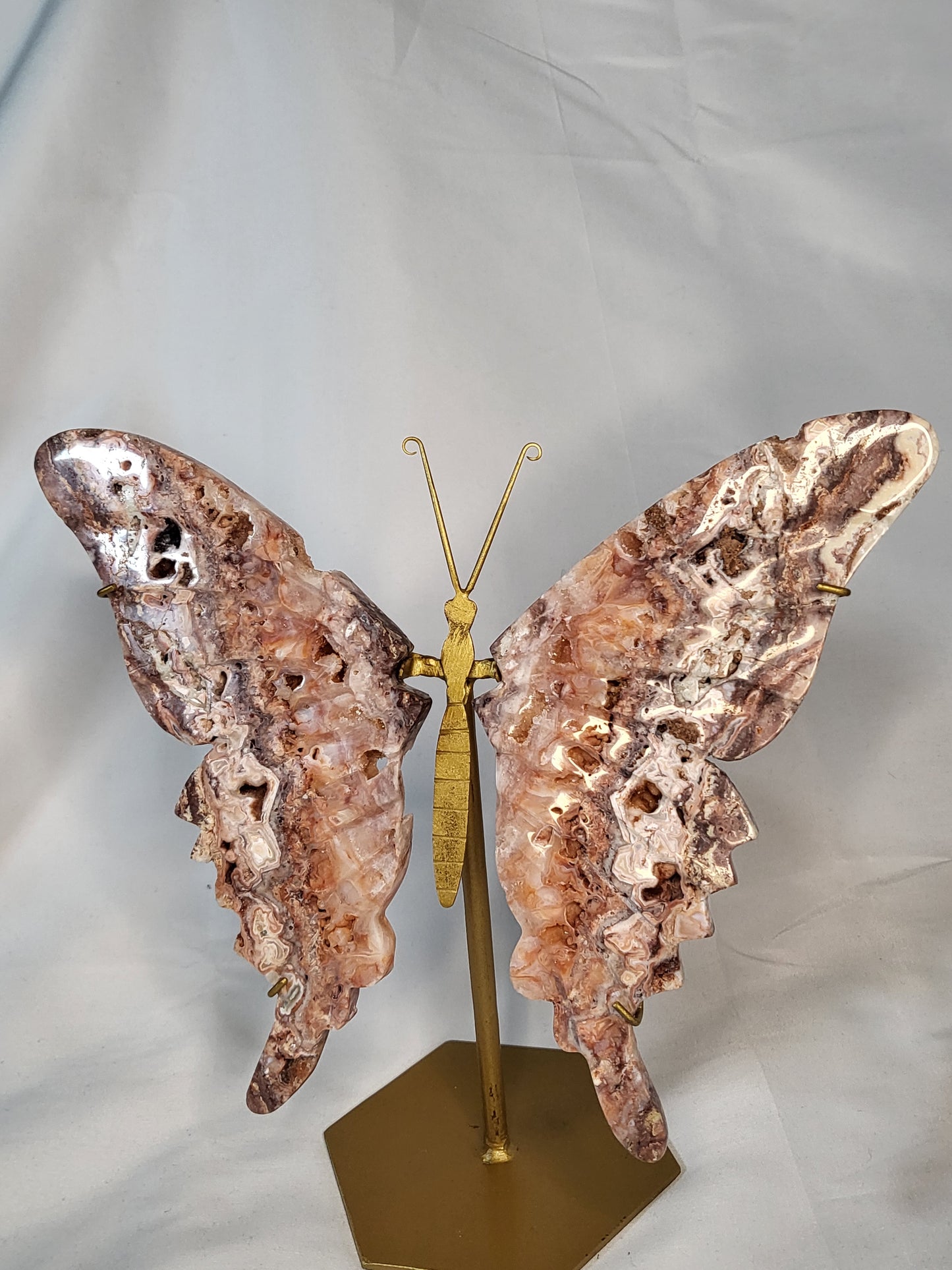 Indonesian Pink Lace Butterfly Wings - Exclusive