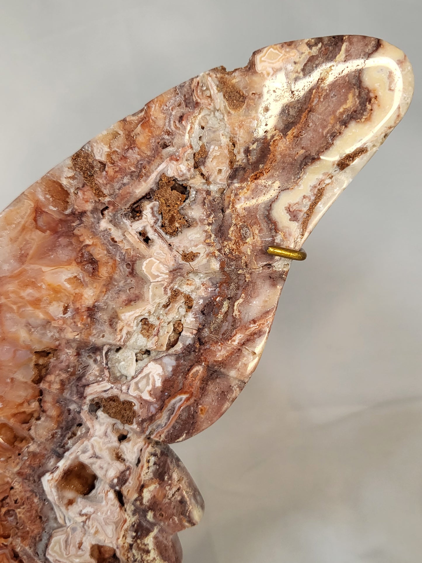 Indonesian Pink Lace Butterfly Wings - Exclusive