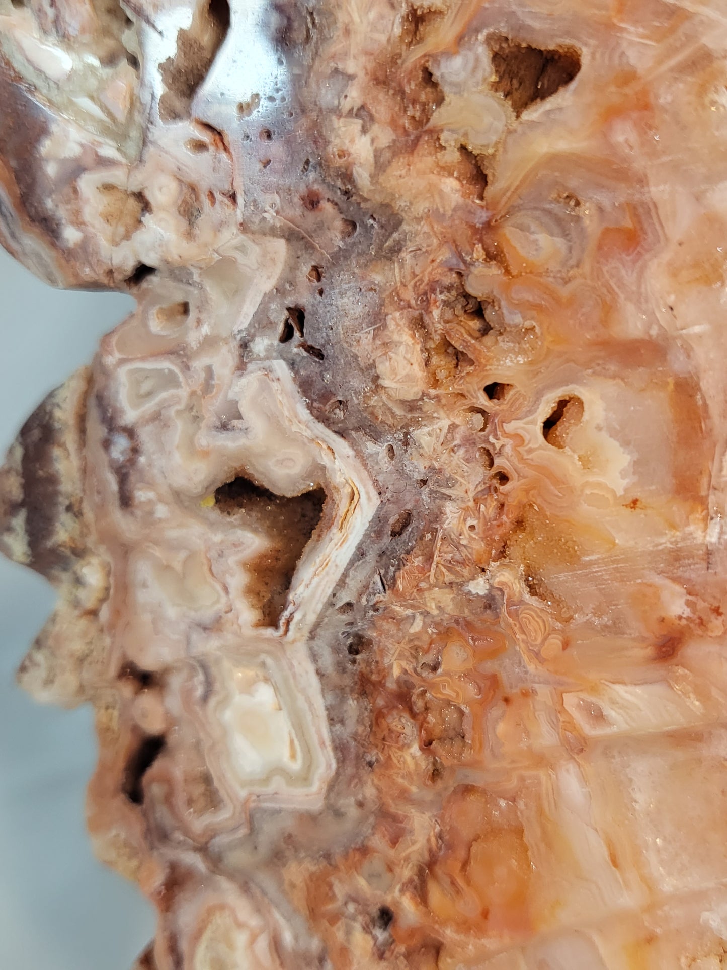 Indonesian Pink Lace Butterfly Wings - Exclusive