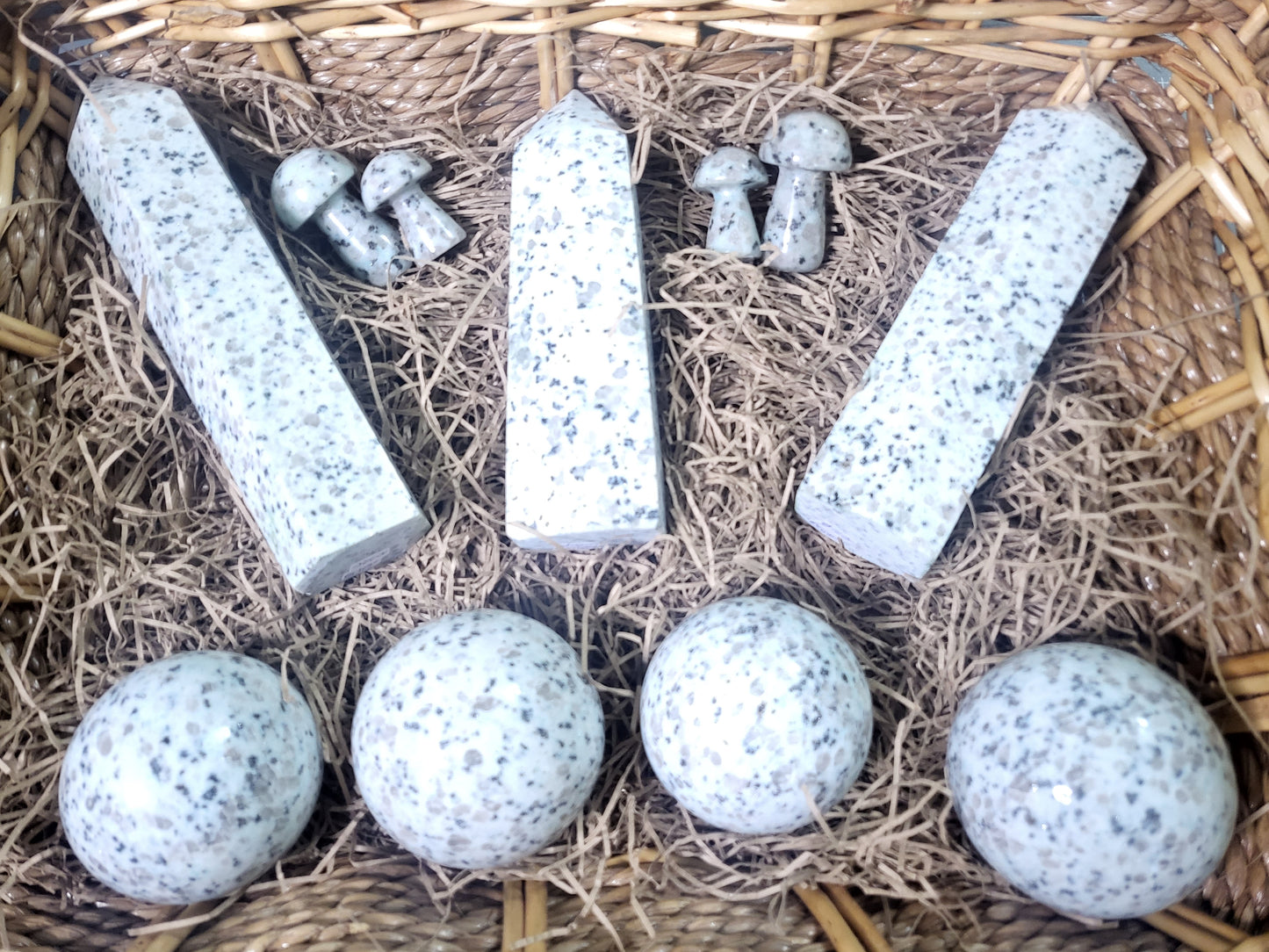Kiwi Jasper Mushrooms
