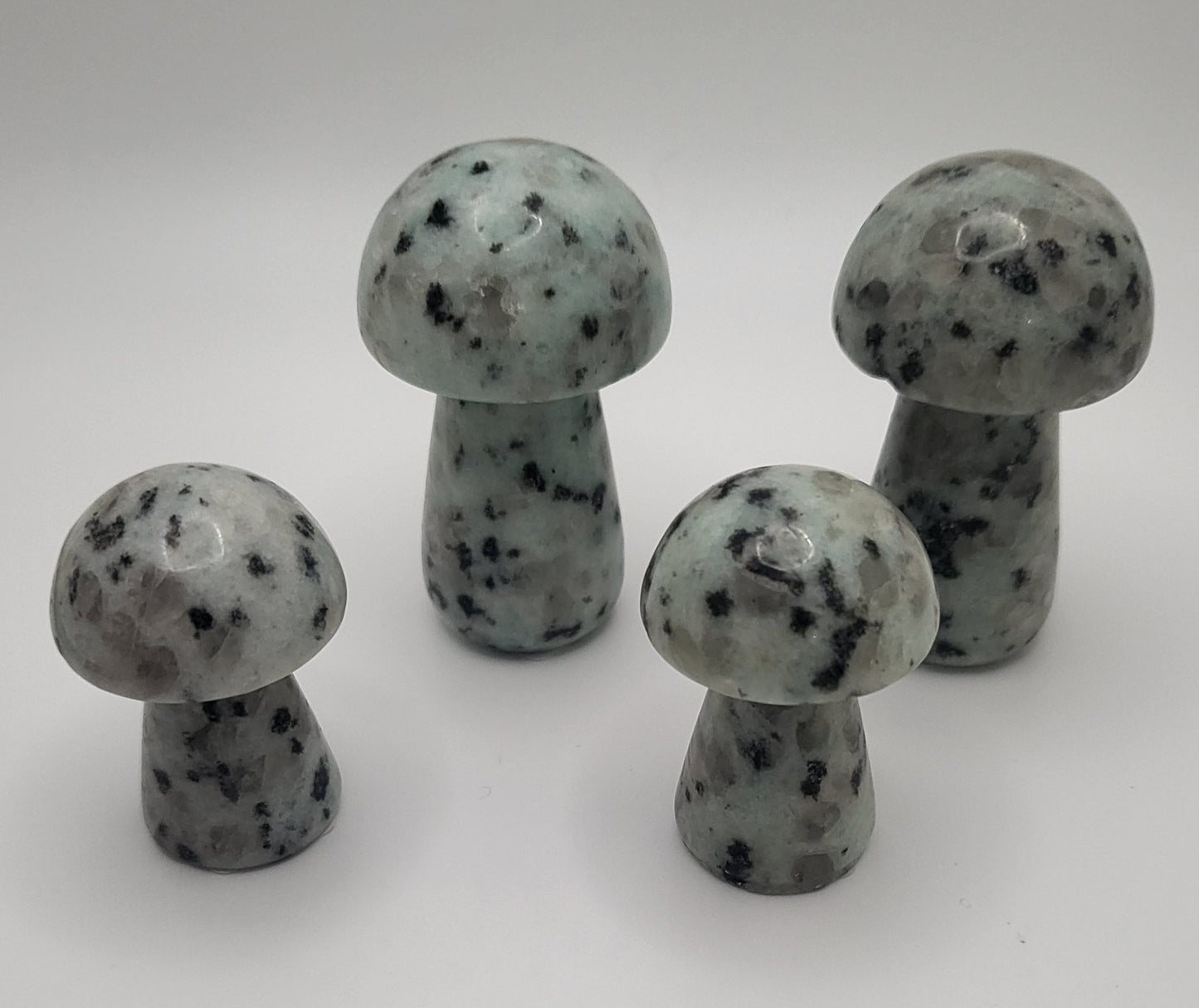 Kiwi Jasper Mushrooms