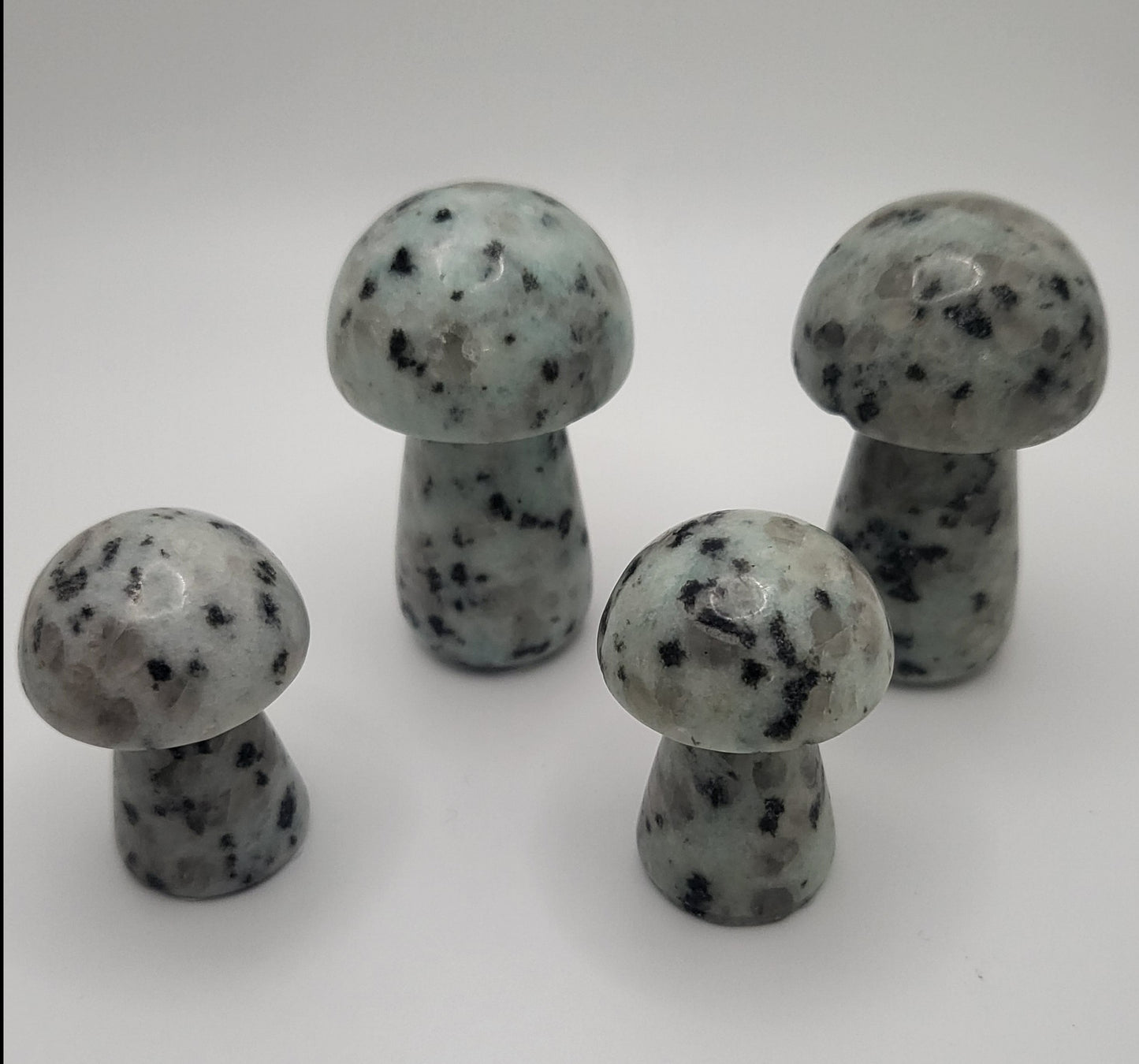 Kiwi Jasper Mushrooms