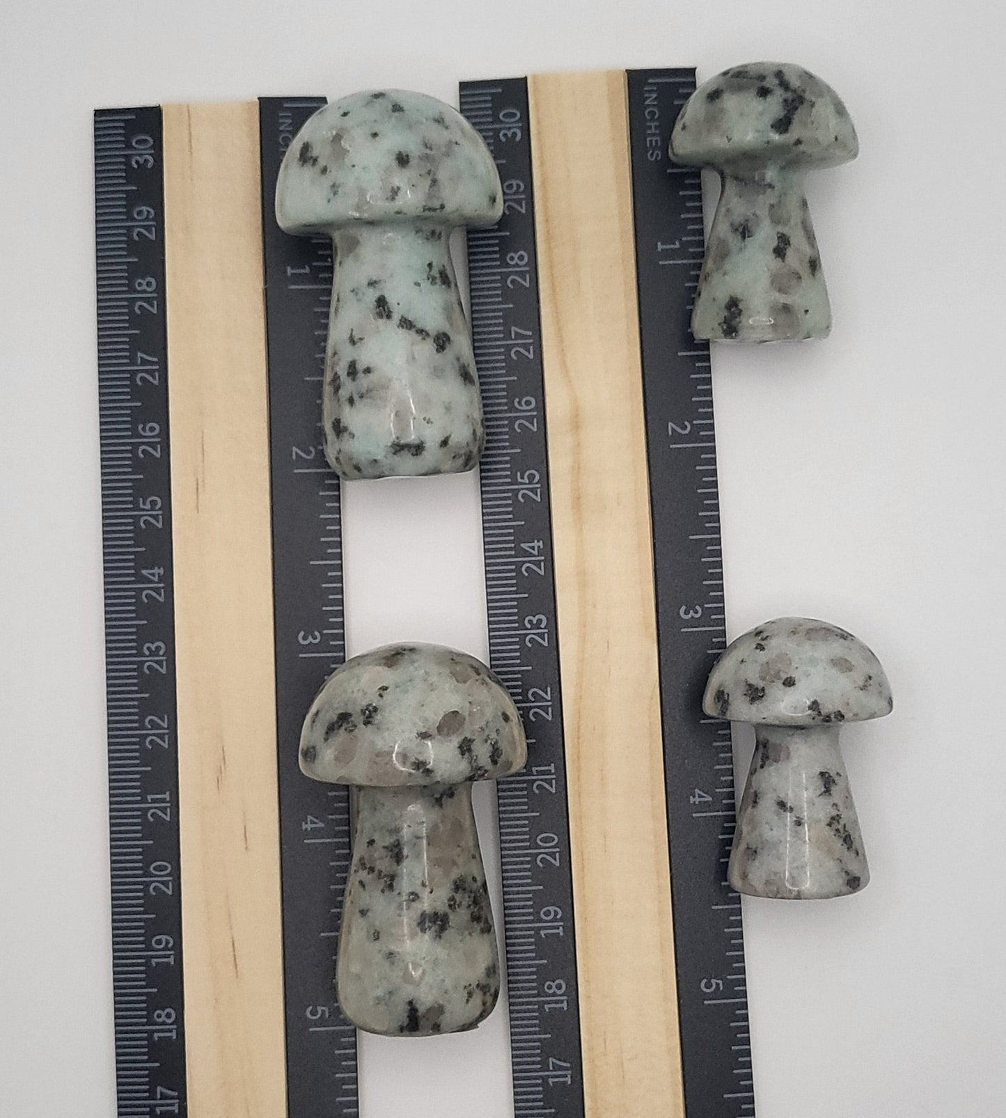 Kiwi Jasper Mushrooms