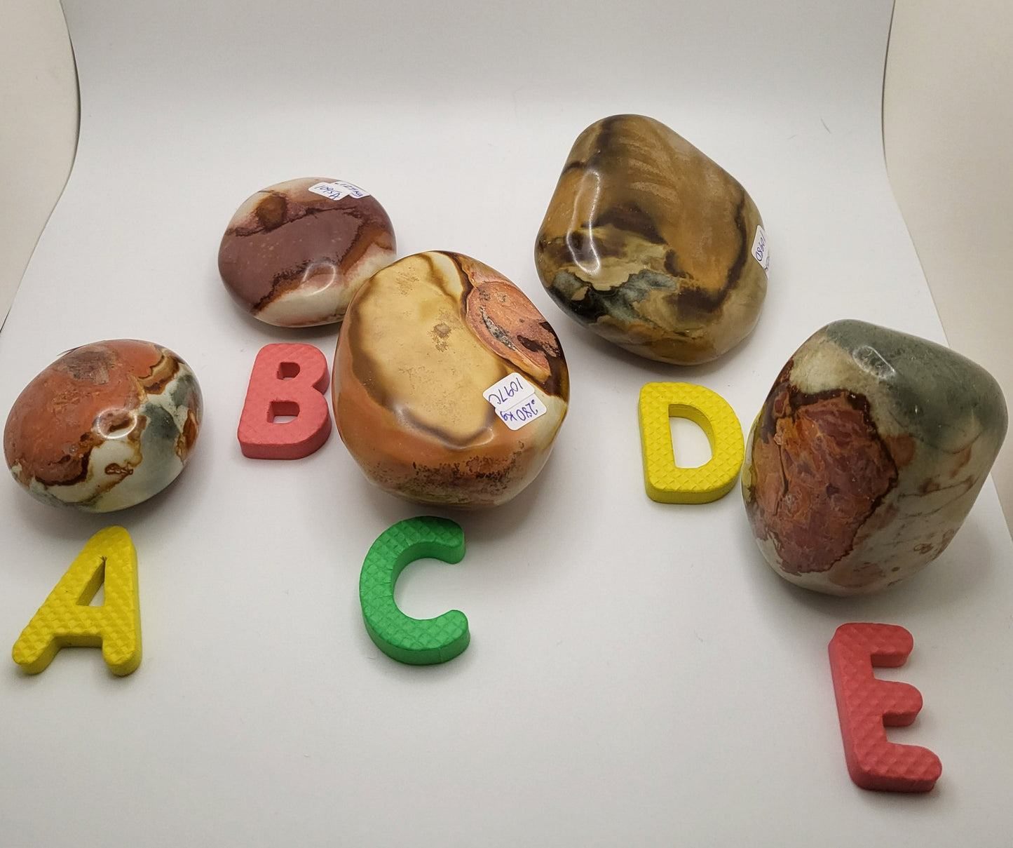 PolyChrome Ocean Jasper Palm Stones