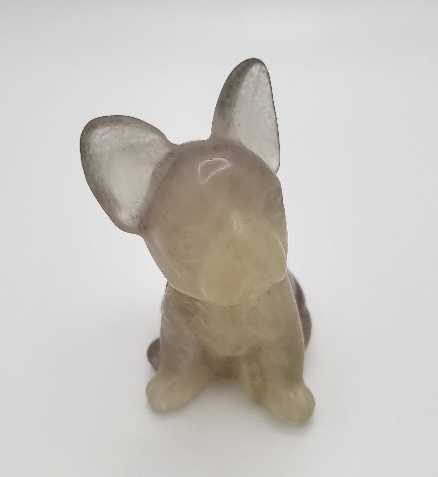 Dogs - Variety Of Colors