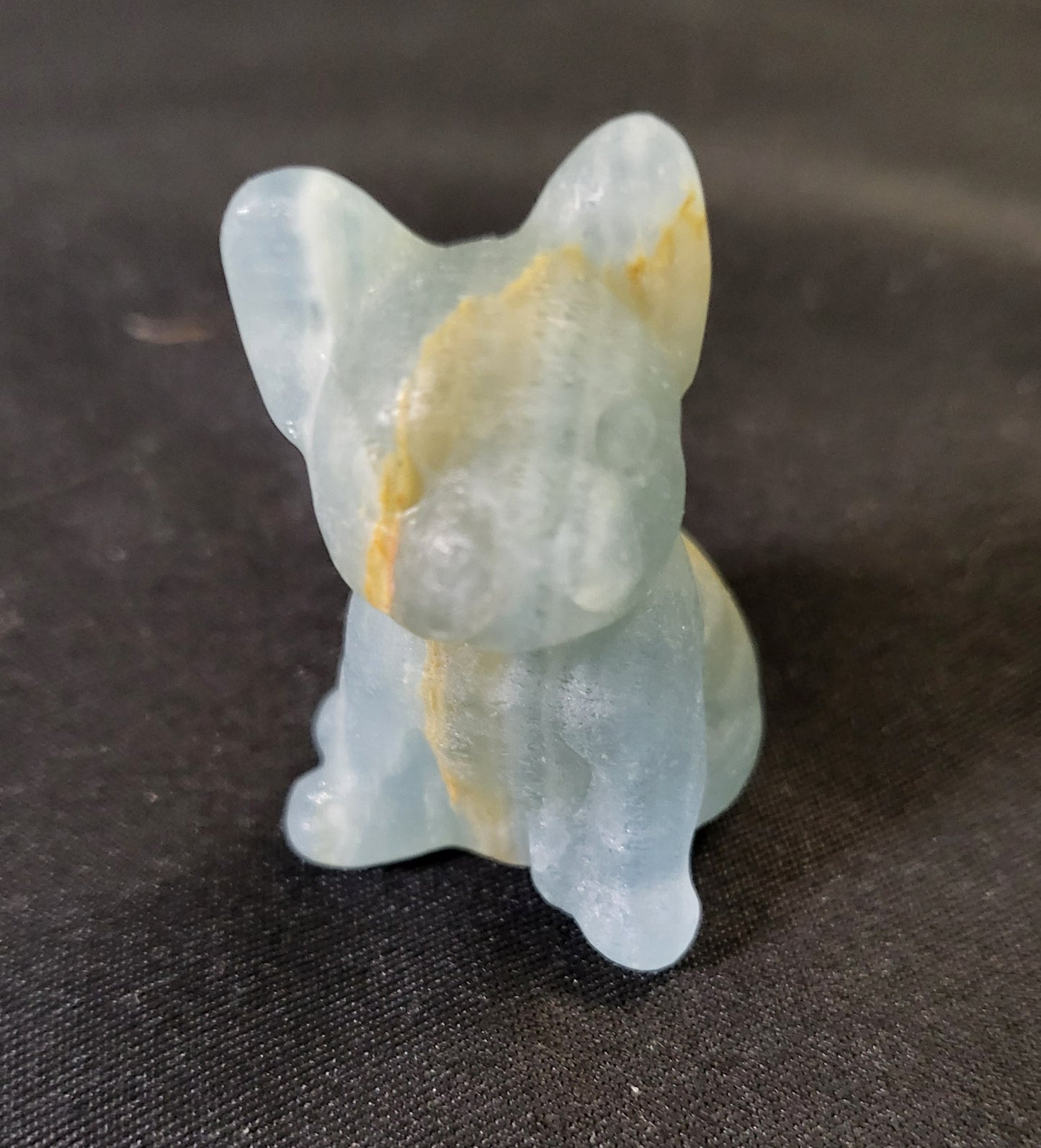 Dogs - Variety Of Colors