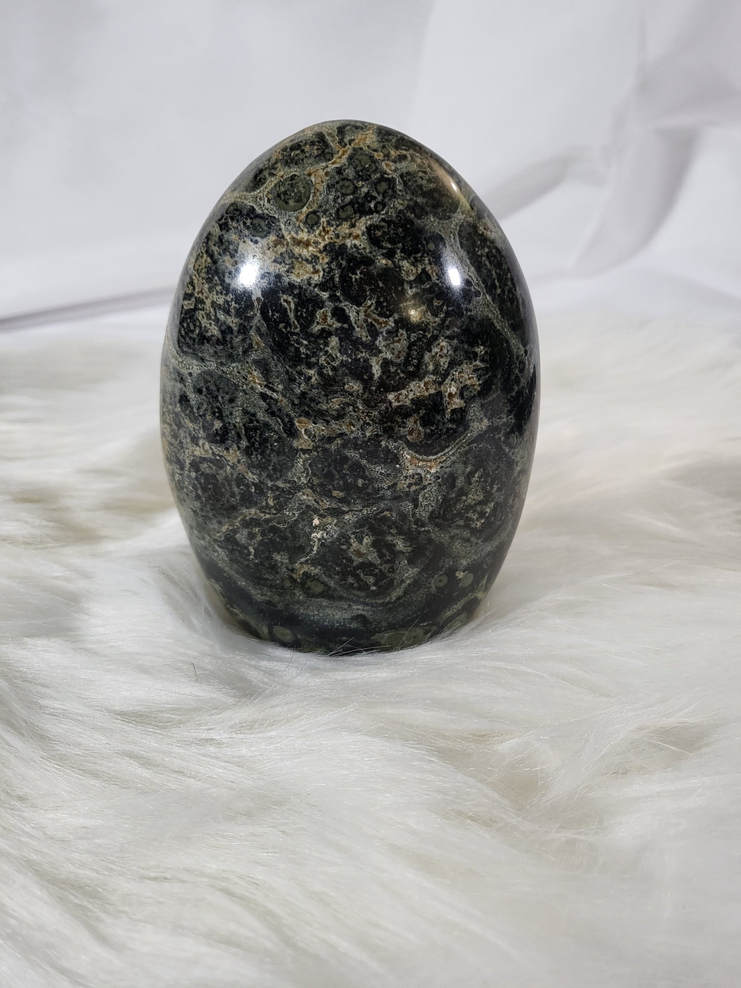 Kambaba Jasper Free Form