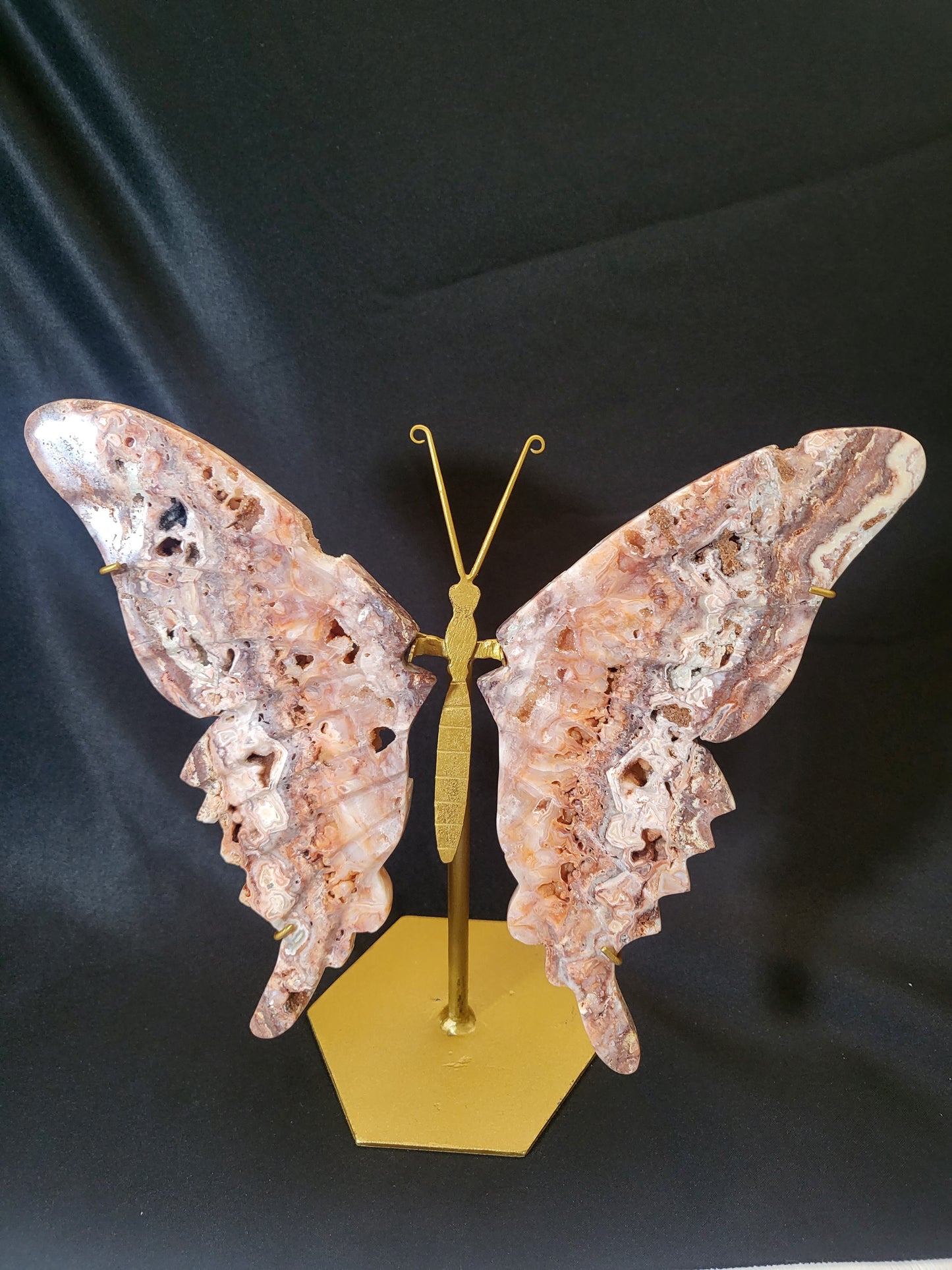 Indonesian Pink Lace Butterfly Wings - Exclusive