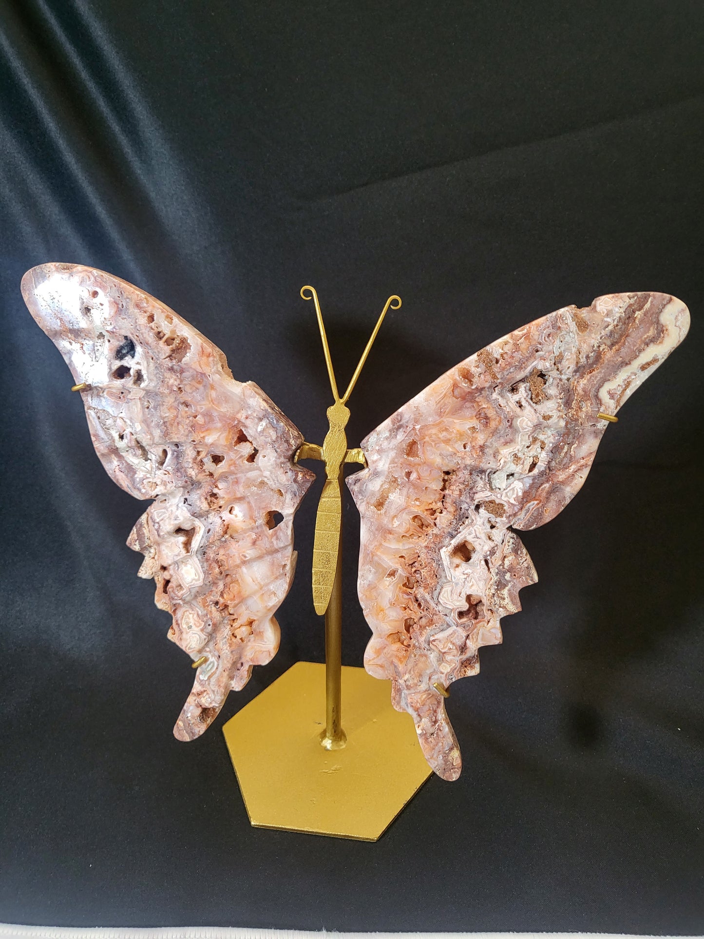 Indonesian Pink Lace Butterfly Wings - Exclusive