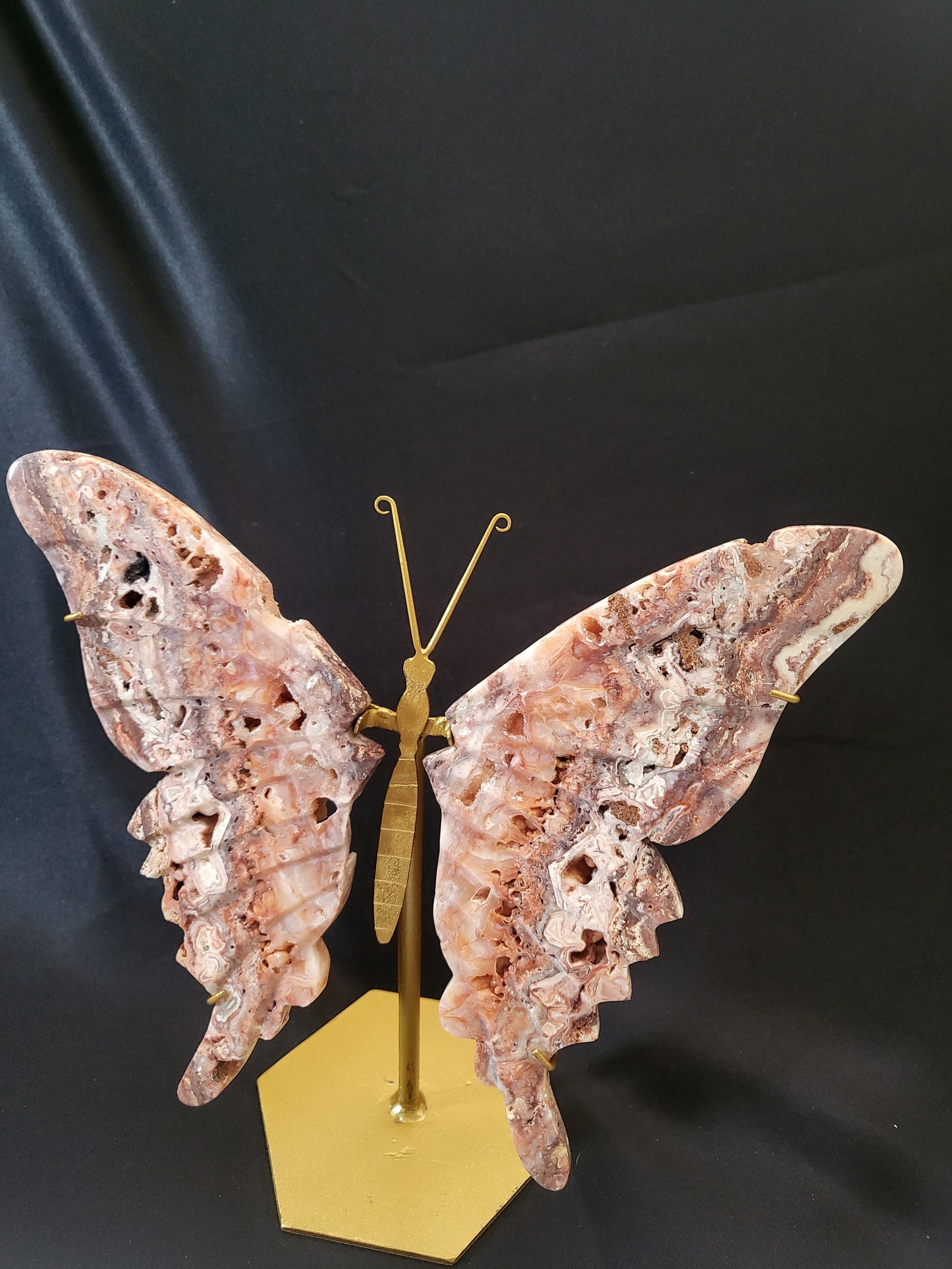 Indonesian Pink Lace Butterfly Wings - Exclusive