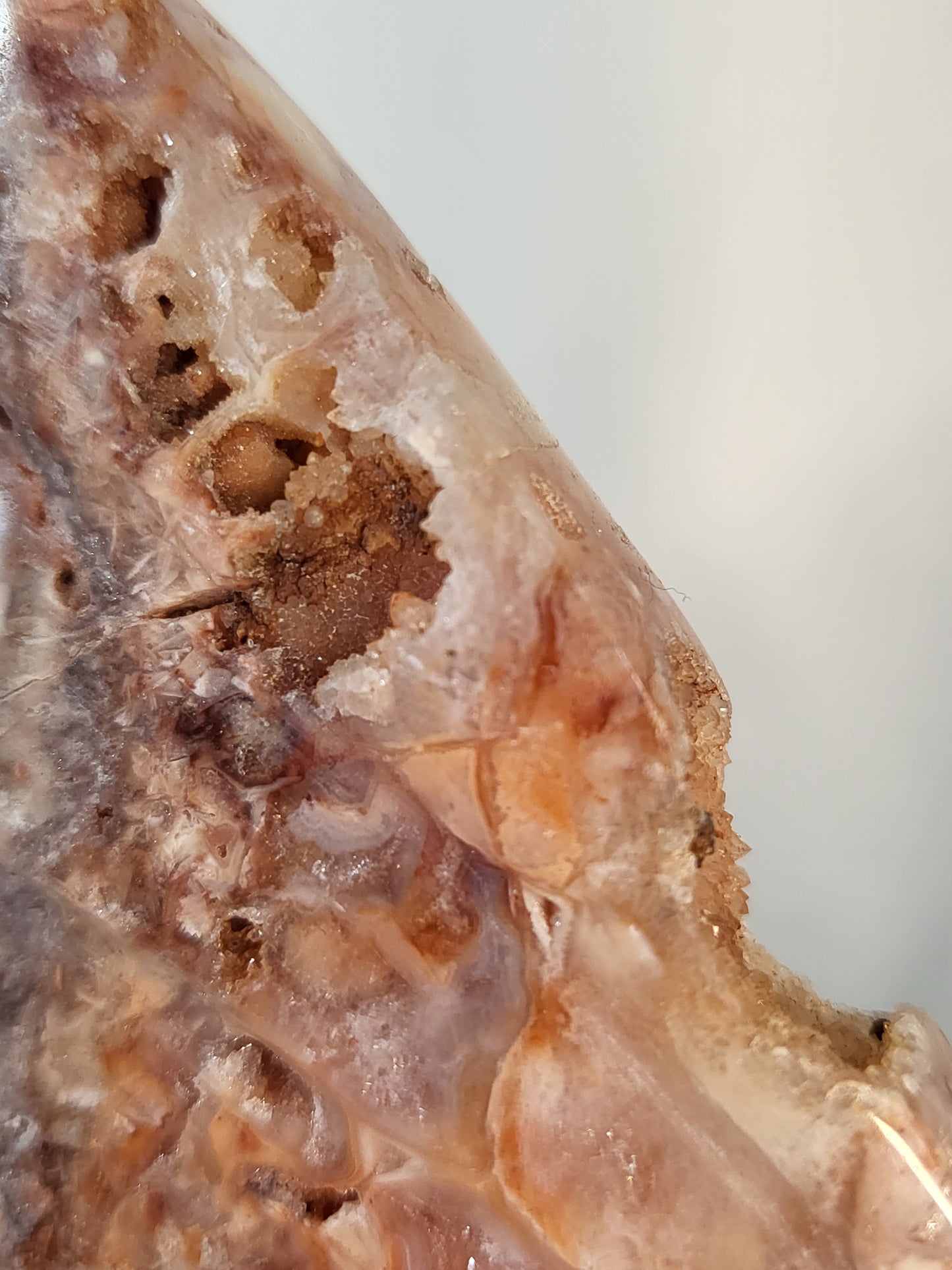 Indonesian Pink Lace Butterfly Wings - Exclusive