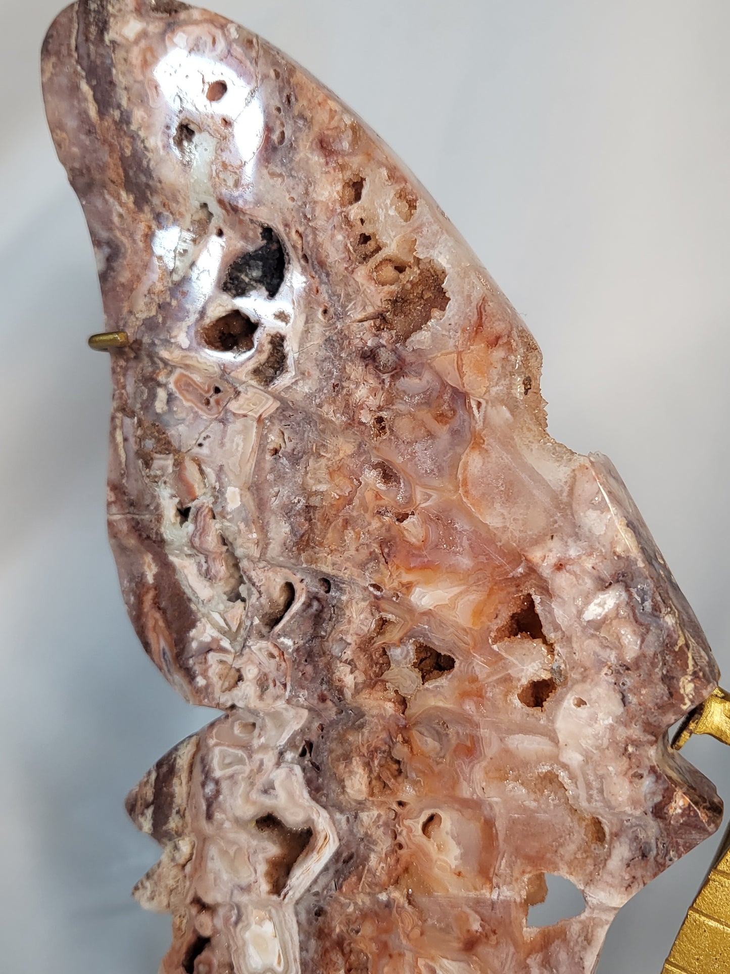 Indonesian Pink Lace Butterfly Wings - Exclusive