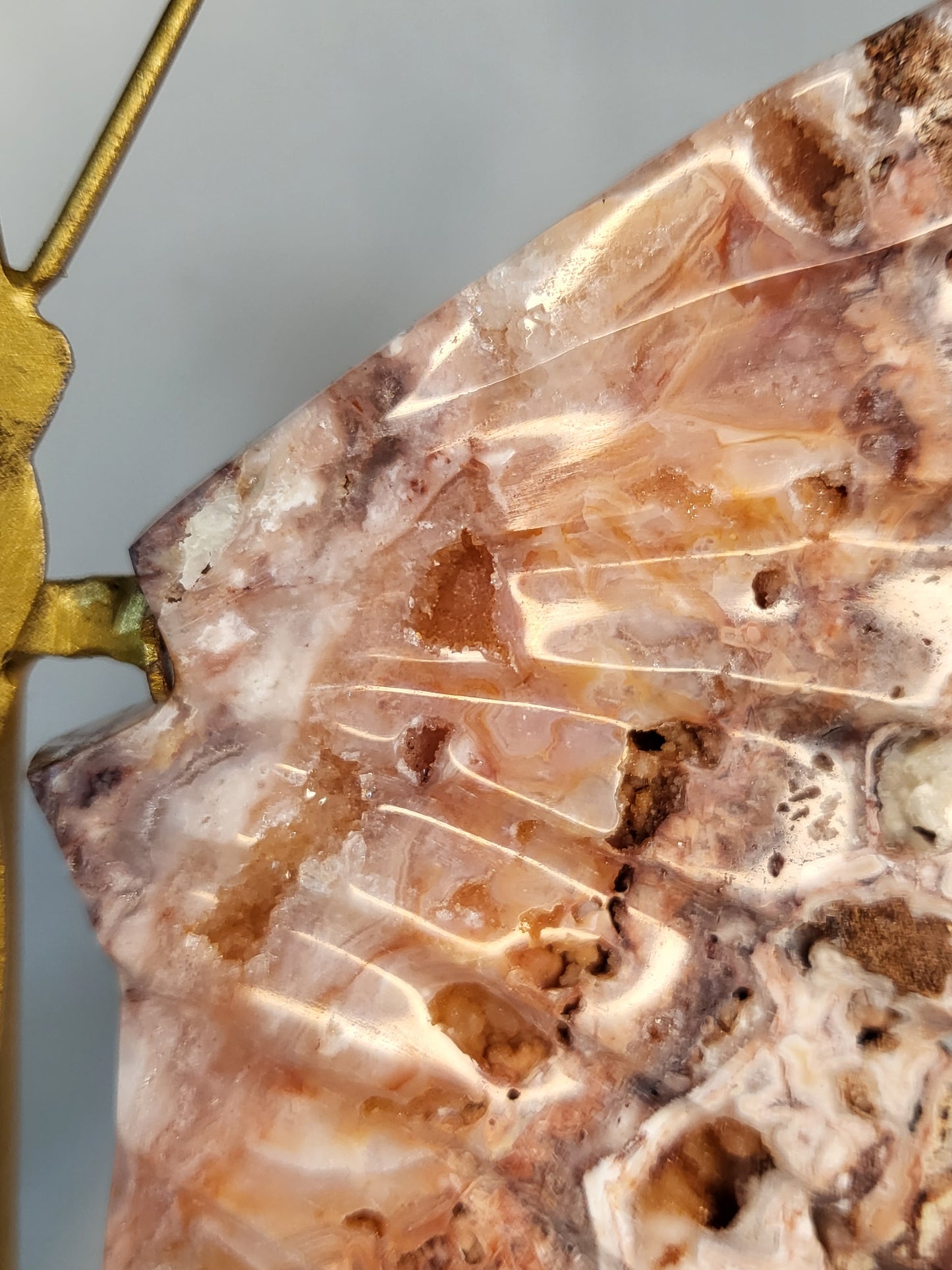 Indonesian Pink Lace Butterfly Wings - Exclusive