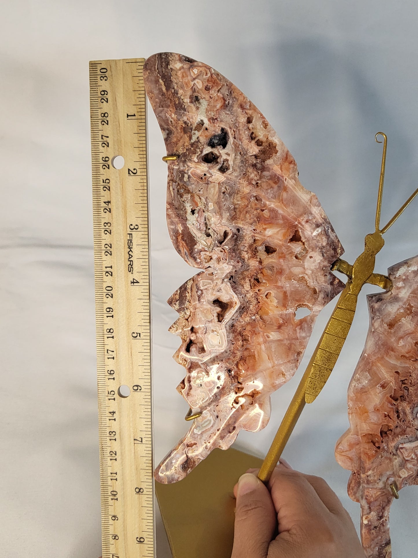 Indonesian Pink Lace Butterfly Wings - Exclusive