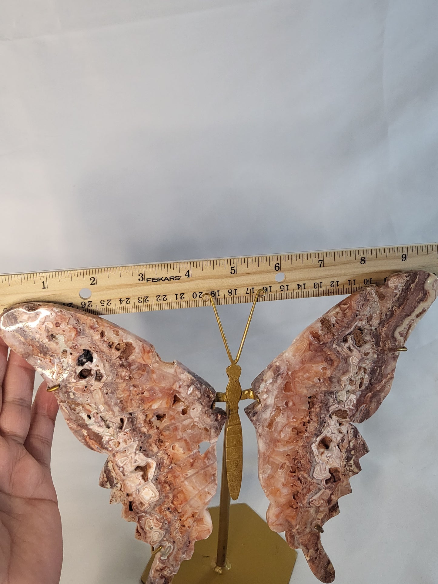 Indonesian Pink Lace Butterfly Wings - Exclusive